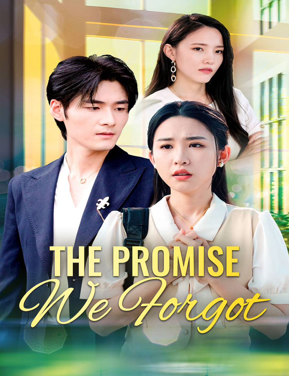 Poster The Promise We Forgot