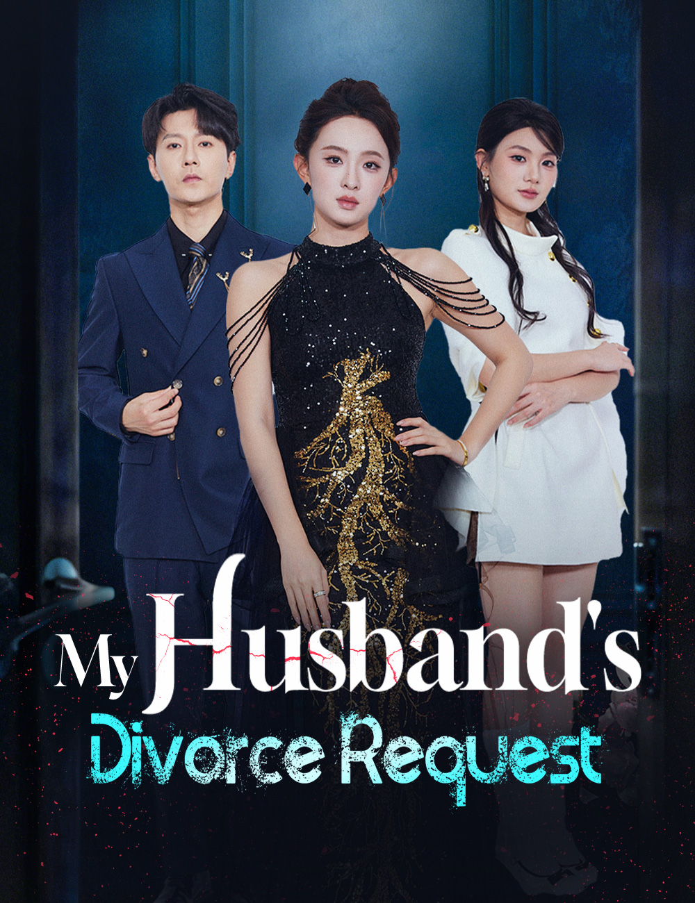 Poster My Husband's Divorce Request