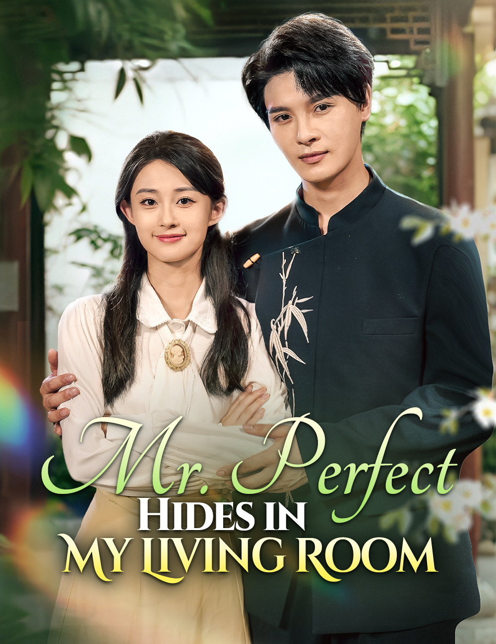 Poster Mr. Perfect Hides in My Living Room