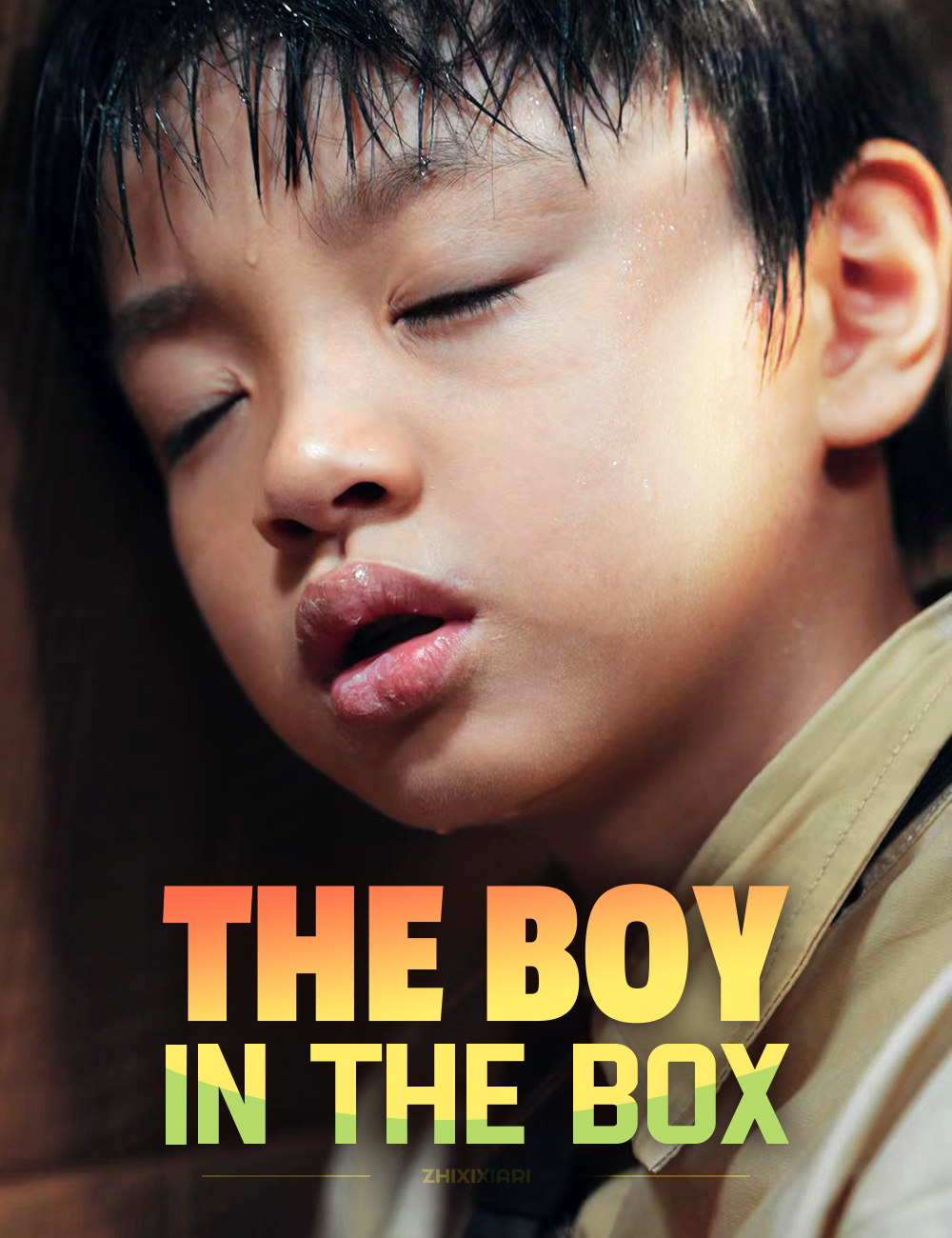 Poster The Boy in the Box