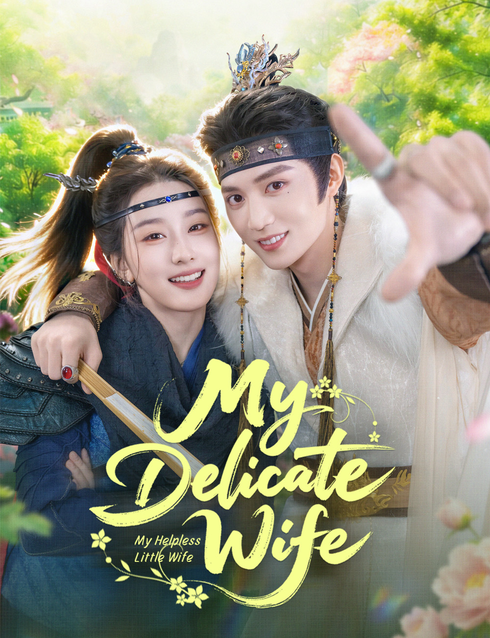 Poster My Delicate Wife
