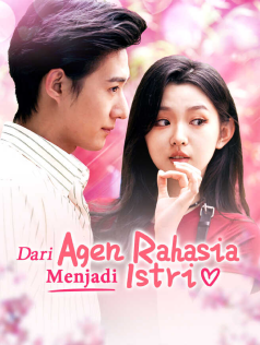 Poster Dari Agen Rahasia Menjadi Istri
