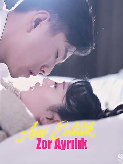 Poster Ani Evlilik, Zor Ayrılık