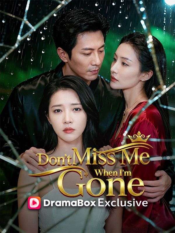 Poster Don't Miss Me When I'm Gone(DUBBED) 