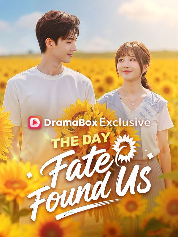 Poster The Day Fate Found Us(DUBBED)