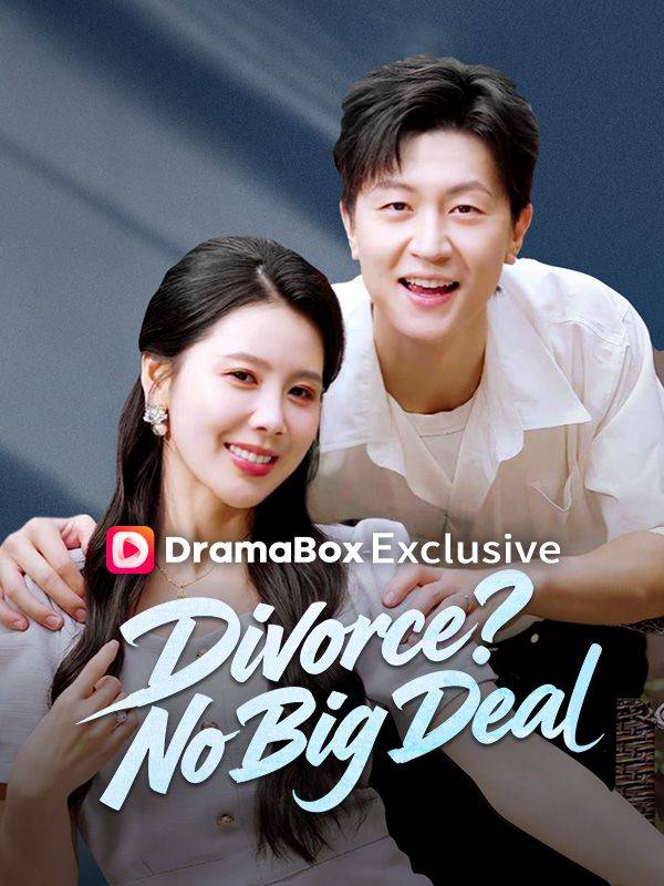 Poster Divorce? No Big Deal (DUBBED)