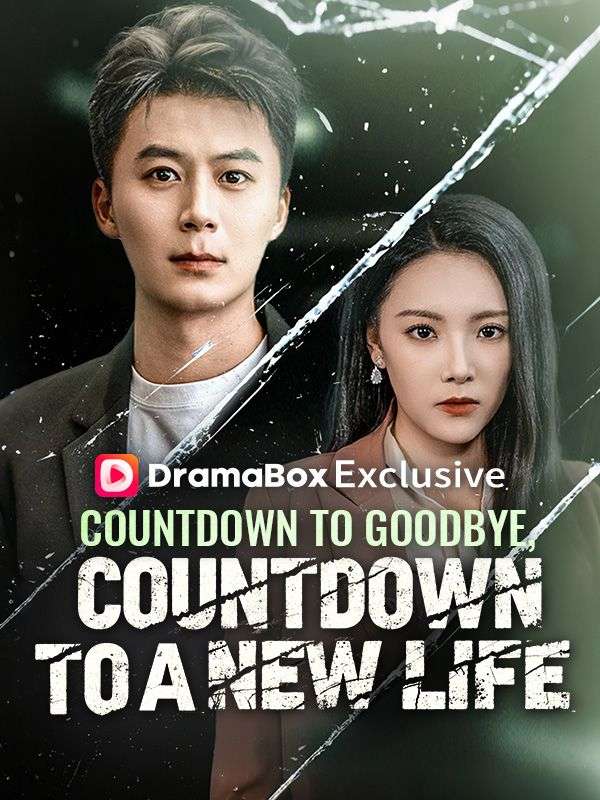 Poster Countdown to Goodbye, Countdown to a New Life