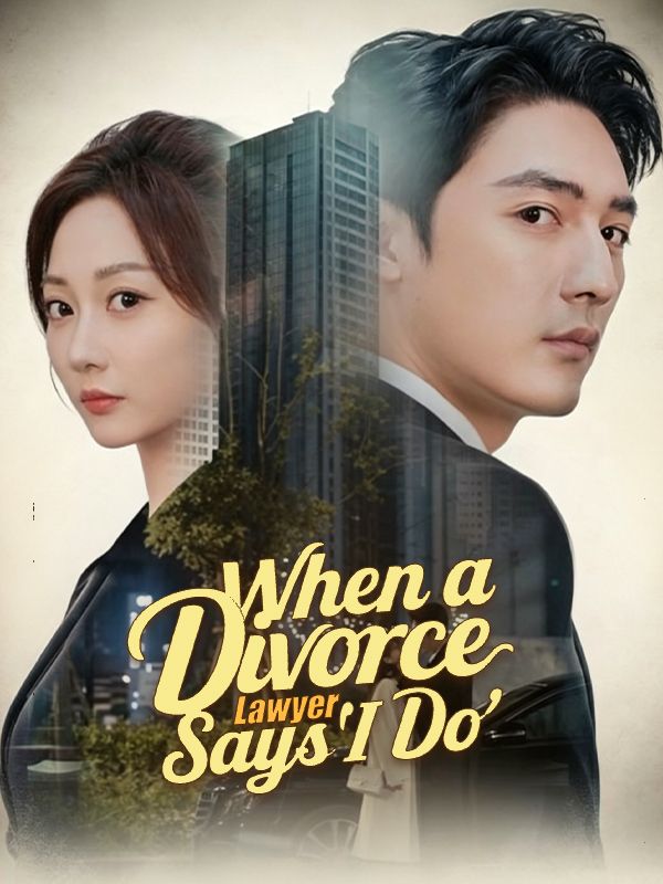 Poster When a Divorce Lawyer Says 'I Do'