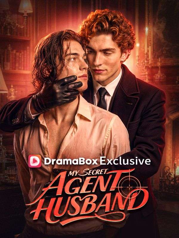 Poster My Secret Agent Husband