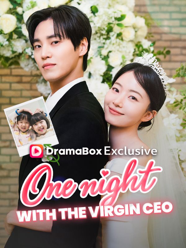 Poster One Night With the Virgin CEO (DUBBED)