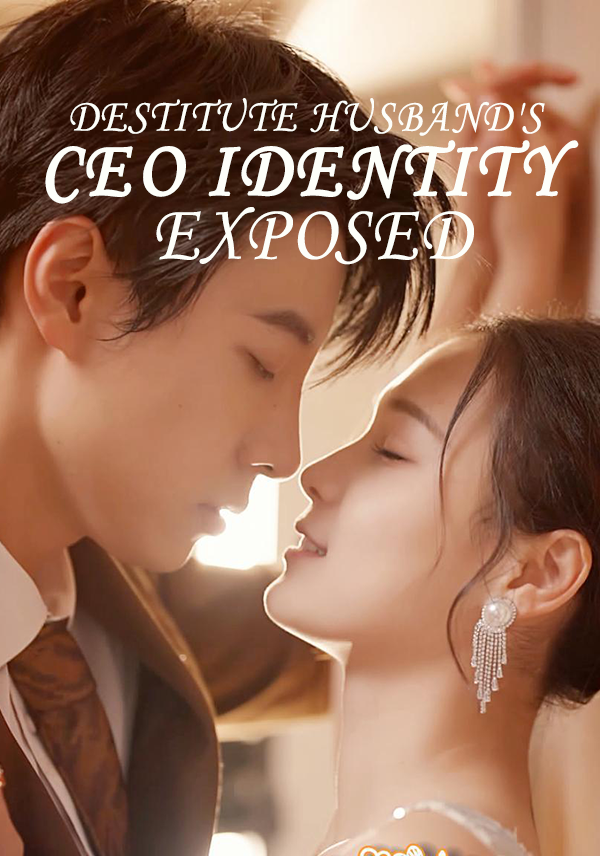 Poster Destitute Husband's CEO Identity Exposed