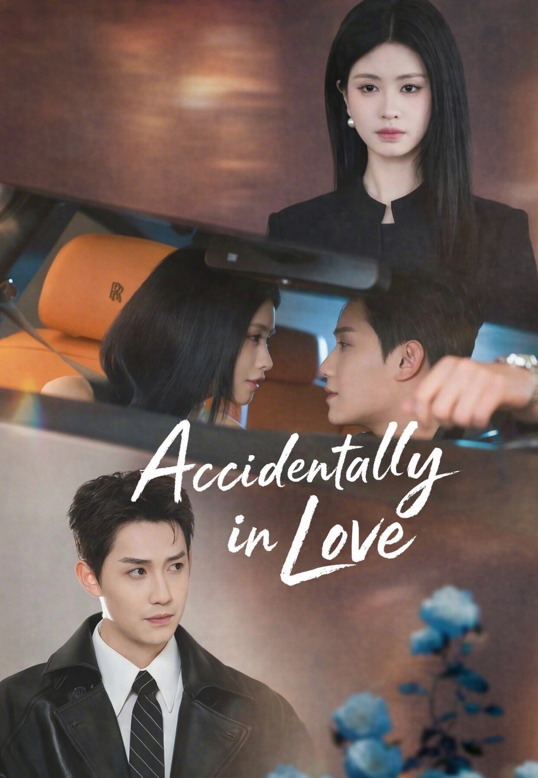 Poster Accidentally in Love