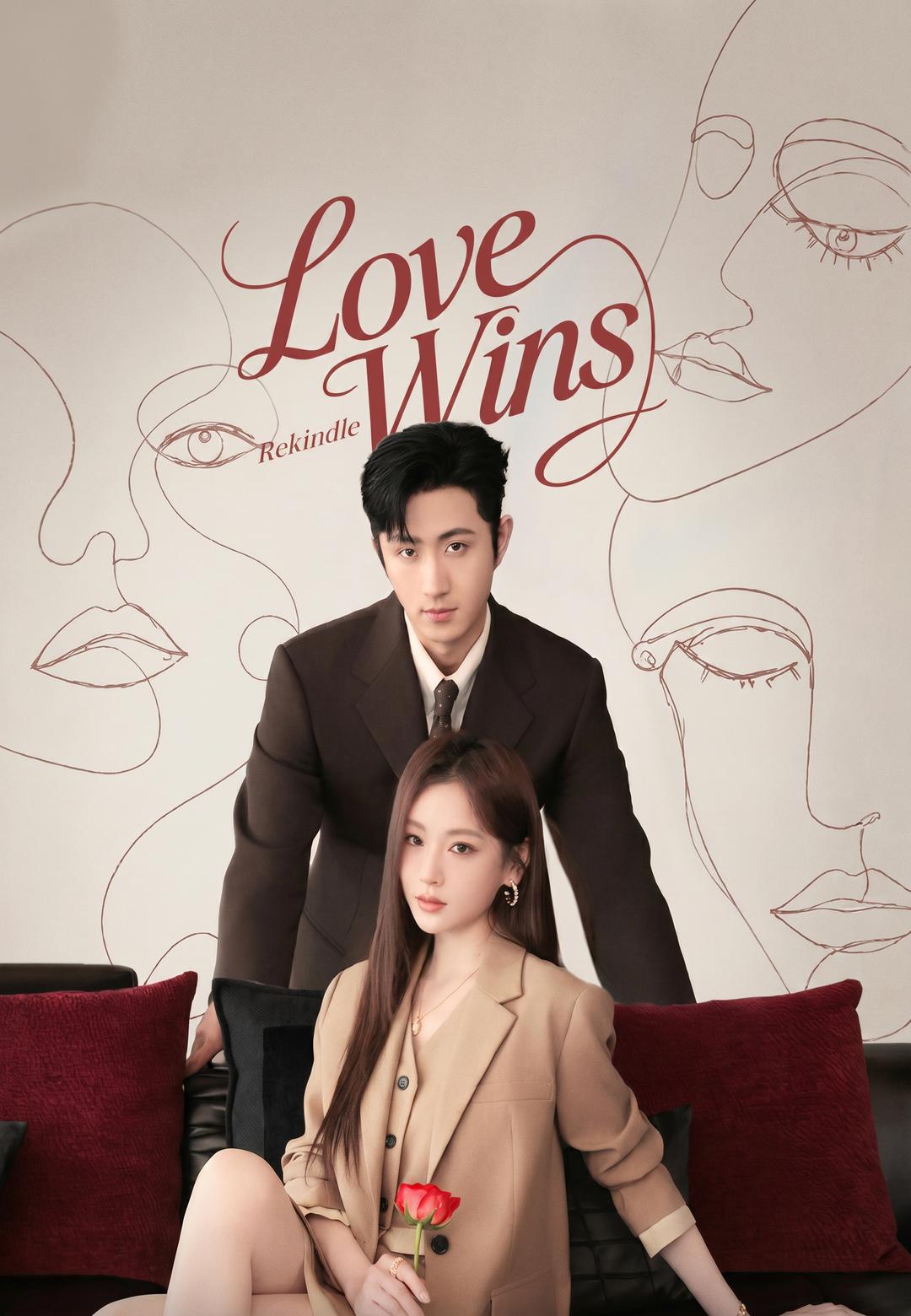 Poster Love Wins