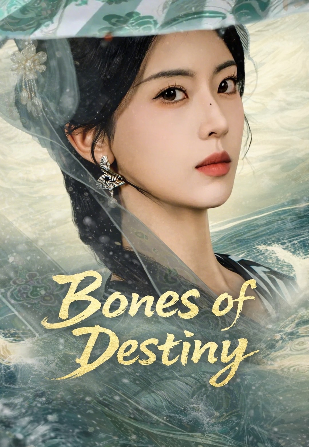 Poster Bones of Destiny