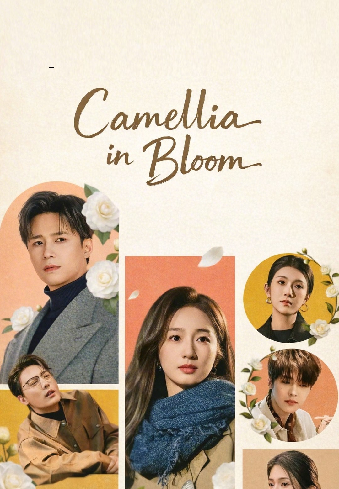 Poster Camellia in Bloom