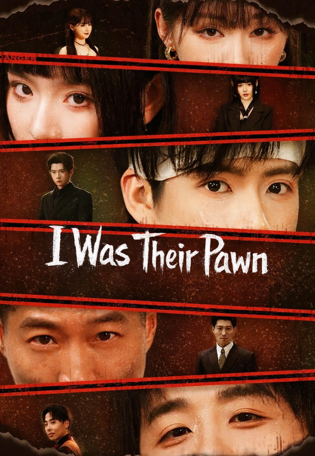 Poster I Was Their Pawn