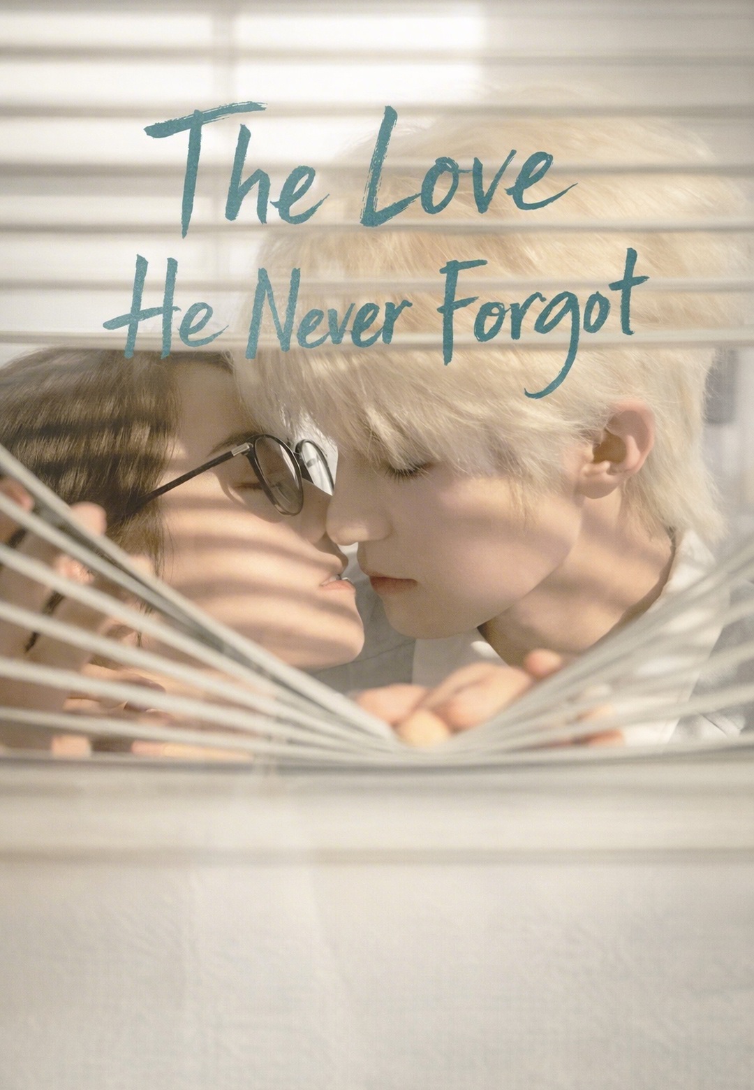 Poster The Love He Never Forgot