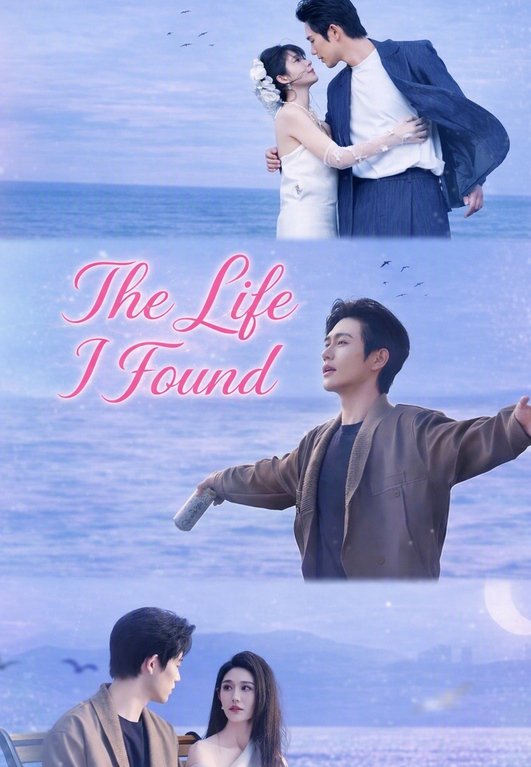Poster The Life I Found