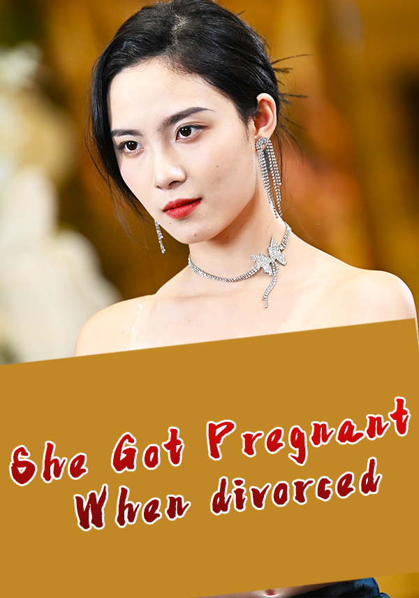 Poster She Got Pregnant When divorced