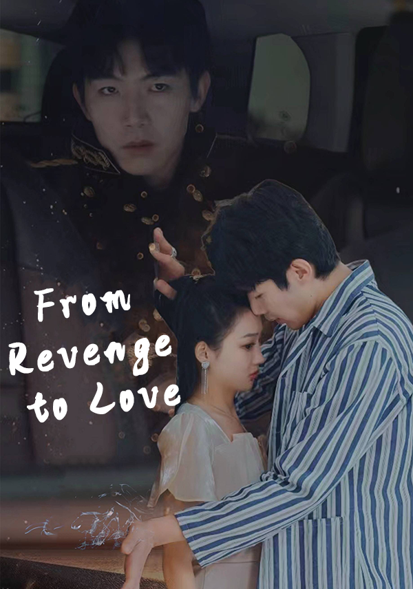 Poster From Revenge to Love