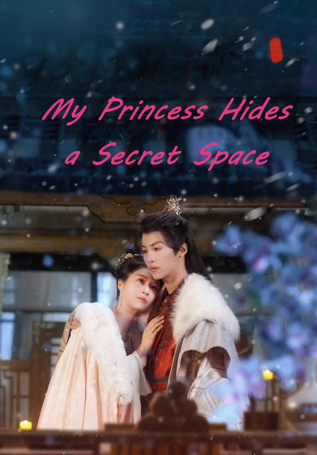 Poster My Princess Hides a Secret Space
