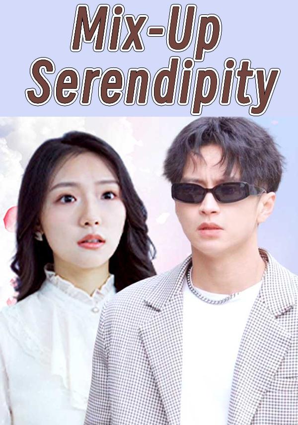 Poster Mix-Up Serendipity