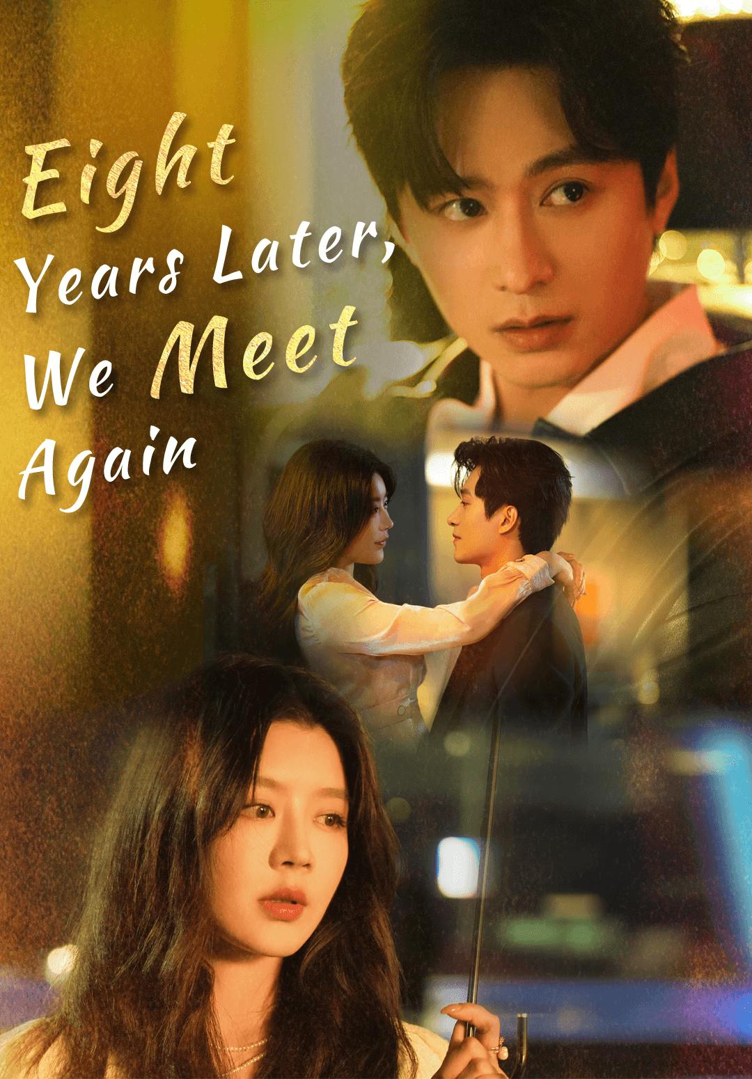 Poster Eight Years Later, We Meet Again