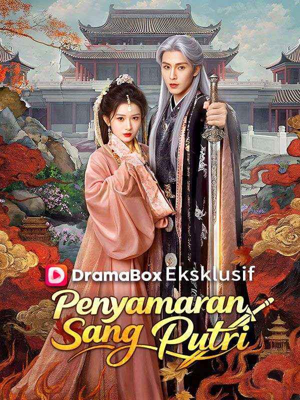 Poster Penyamaran Sang Putri