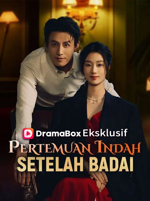 Poster Pertemuan Indah Setelah Badai (Sulih Suara)